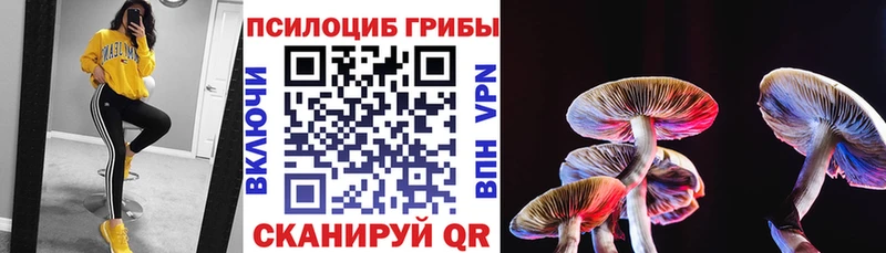 Псилоцибиновые грибы Cubensis  mega сайт  Куйбышев  купить  